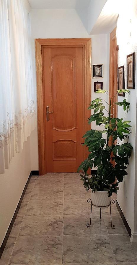 Apartamento Armonia:Centrico, Tranquilo Y Acogedor Elda Eksteriør billede